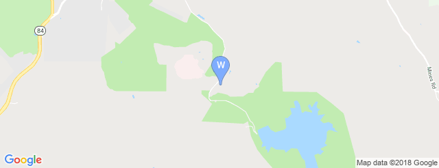 Wente Vineyards