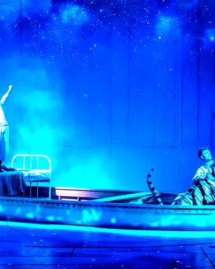 Life of Pi