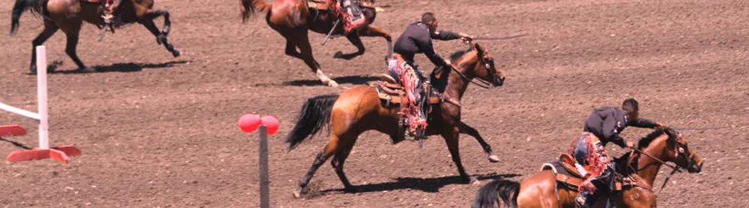 Livermore Rodeo
