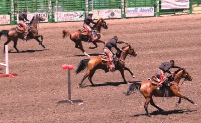 Livermore Rodeo