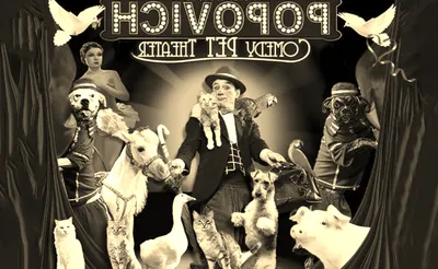Popovich Comedy Pet Theater