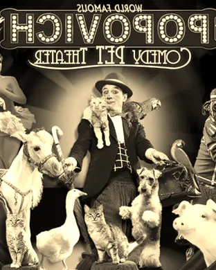 Popovich Comedy Pet Theater San Francisco