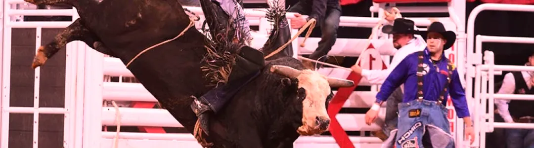 PRCA Xtreme Bulls