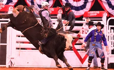 PRCA Xtreme Bulls