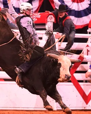PRCA Xtreme Bulls