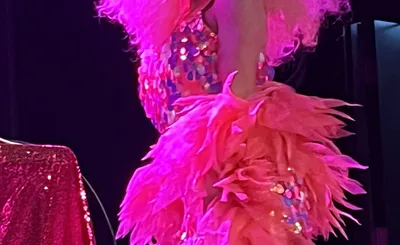 Solid Pink Disco