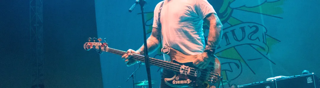 The Bouncing Souls