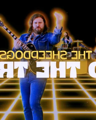 The Sheepdogs