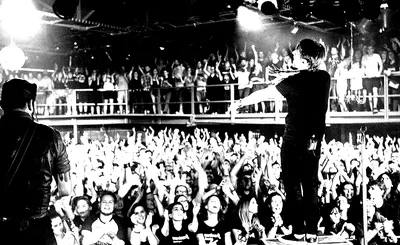 The Wombats